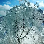 Beskidzki Zakatek Krynica-zdroj *
