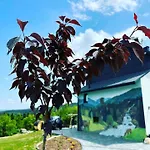 Beskidzki Zakatek Krynica-zdroj *