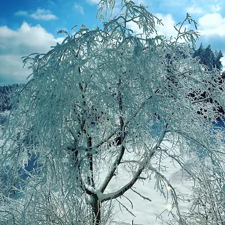 Beskidzki Zakatek Krynica-zdroj *